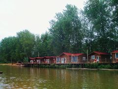 -溱湖国家湿地公园