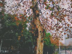 -中南财经政法大学(首义校区)