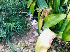 -上海市龙华烈士陵园