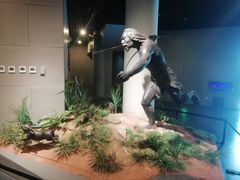 -北京周口店北京人遗址博物馆