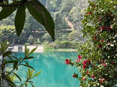 -九龙潭景区