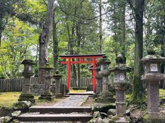 -奈良公园