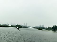 -哈尔滨大剧院