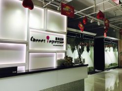 -戛纳印象摄影(潮拍定制馆)