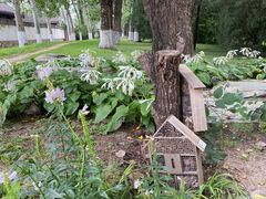 -颐和园-画中游