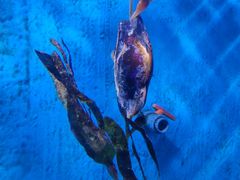 -泉城欧乐堡海洋极地世界