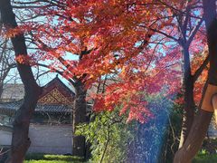 -青岛崂山太清宫