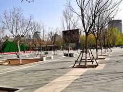 -莲花池公园
