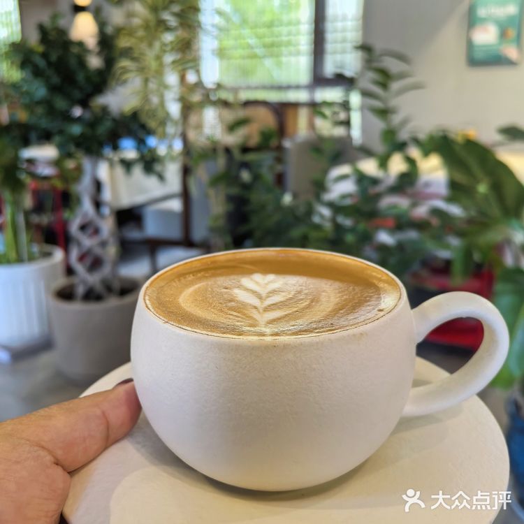 📌梧桐树下的咖啡☕｜不光香还超级浪漫