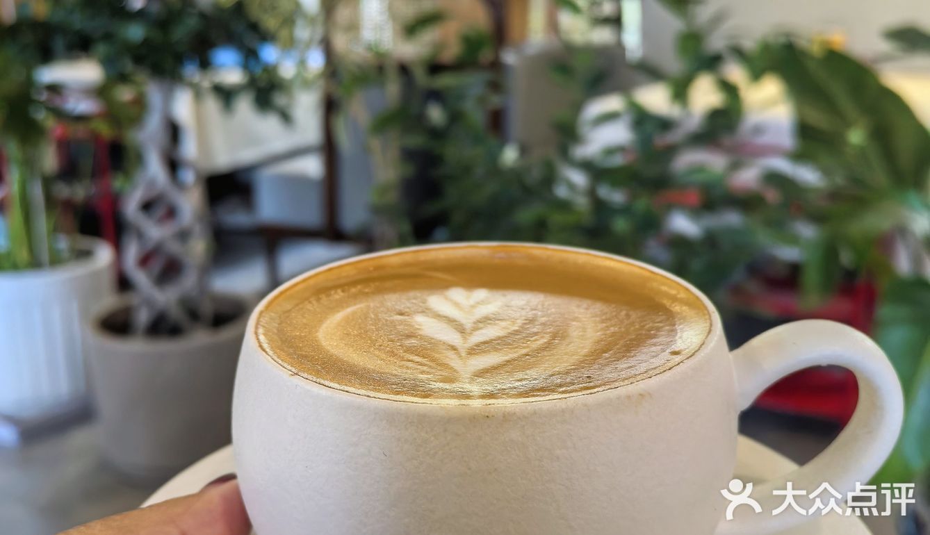 📌梧桐树下的咖啡☕｜不光香还超级浪漫