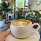 📌梧桐树下的咖啡☕｜不光香还超级浪漫
