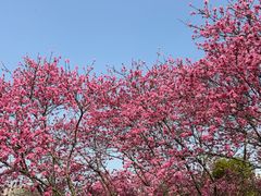 -堤角公园