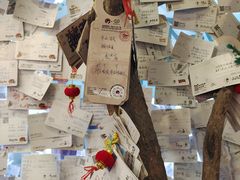 -茶颜悦色(岳麓山顶店)