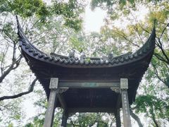 -沧浪亭