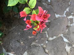 -南通洲际绿博园