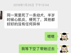 -申普宠物医院·心脏介入·心血管微创(总院)
