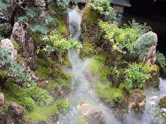 -唐河王记·南阳民间菜(国基路店)