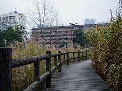 -成都市活水公园