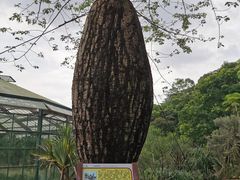 -华南国家植物园-售票处