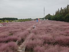 -嘉北郊野公园