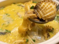 鲍螺鸡煲-金龙·打边炉(武进路店)