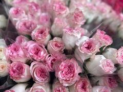 -循礼门鲜花花市(武汉循礼门店)