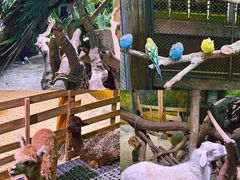 -正佳雨林生态植物园