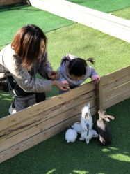 -萌宠亲子动物乐园(槐房万达店)