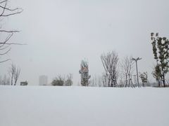 -葛仙湖公园