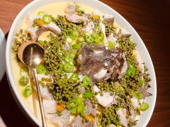 青青椒麻龙胆鱼-CHIC1699远洋私厨