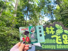 -西双版纳原始森林公园