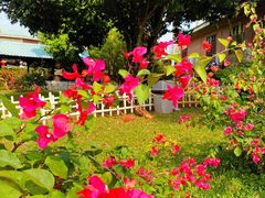 -侯臣咖啡文化村