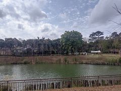 -王借岗森林公园