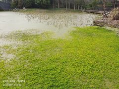 -长广溪湿地公园