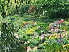 -上海共青森林公园