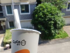 -CoCo都可(香港名都店)