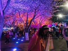 -西北湖绿化广场