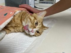 -宠颐生中康贝怡动物医院