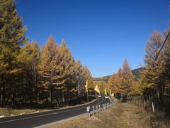 -塞罕坝国家级自然保护区