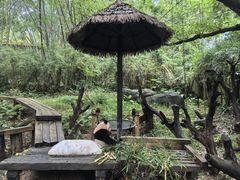 -广州长隆野生动物世界