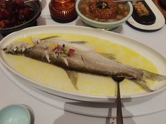 -森隆饭庄(崇文门新世界百货店)