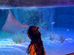 -沈阳海洋探索中心