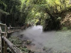 -川西竹海景区