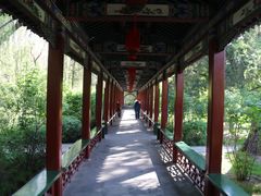-迎泽公园