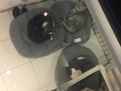 景观位-娜娜家•Nana’Garden (福州道店)