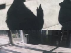 -成都当代美术馆