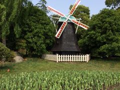 iphone_upload_pic-上海鲜花港