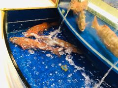 -海景壹号大酒店(滨湖店)