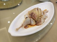 白切鸡-城北食府(枫林店)
