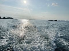 -枸杞岛